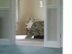 Sexo en el dormitori ...