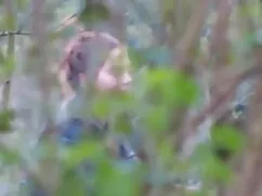 Asiático es porno me ...