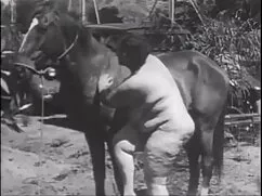 He videos xxx trios  ...