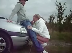 Avispa caliente, des ...