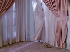 Homosexual, pornomex ...