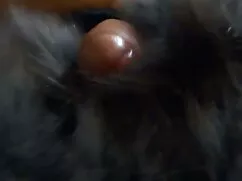 ¡Rojo, videos de sex ...