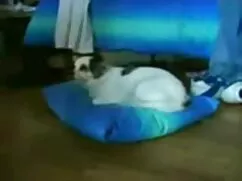 Hermosa Sarah porno  ...