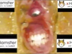 Kinky videos gratis  ...