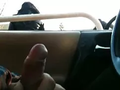 _ trios mexicanos se ...